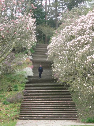 Dartington